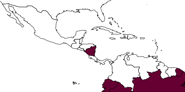 map of Acrotaphus jackiechani     Pádua & Sääksjärvi, in Pádua et al., 2020
